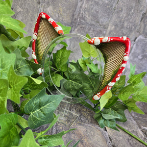 Mossy Mushroom Ears